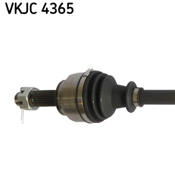 SKF VKJC 4365 Albero motore/Semiasse